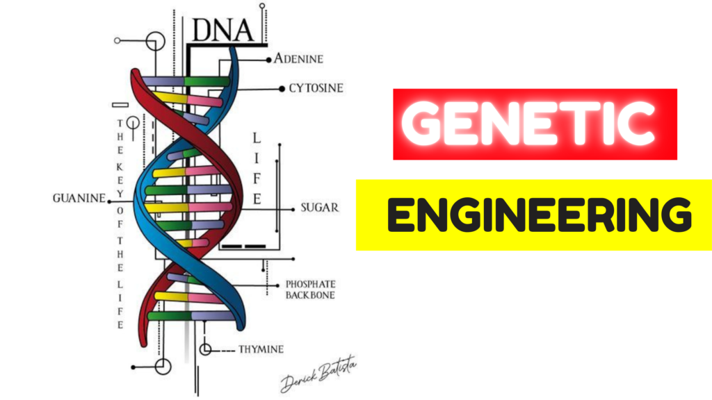 Genetic engineering | जेनेटिक इंजीनियरिंग क्या है ? | Genetic engineering is good or bad ?