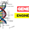 Genetic engineering | जेनेटिक इंजीनियरिंग क्या है ? | Genetic engineering is good or bad ?