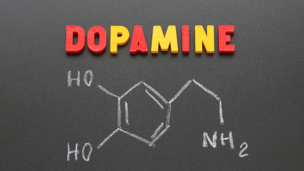 Dopamine – The hormon of happiness | डोपामाइन  खुशियों का रसायन